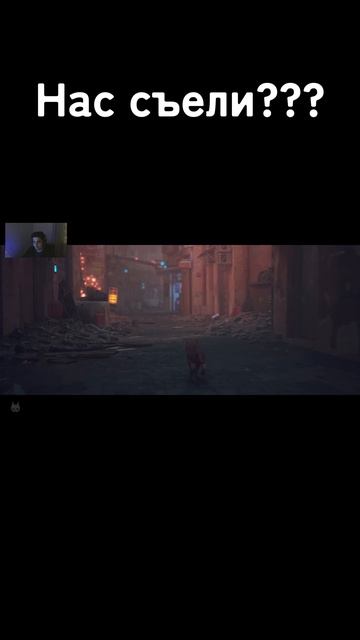 Нас съели??? Stray Прохождение #1