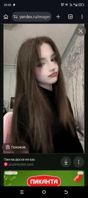 мы гуляем 2 блогера