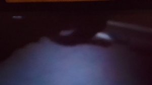 СМОТРЮ МАШИНЫ ИЗ НЕДАВНИХ ОБНЛВЛЕНИЙ! ДОМ НА КОЛЁСАХ, АВТОБУС ИЛИ ДОМ НА КОЛЁСАХ, ПИКАП, ФУРГОН.