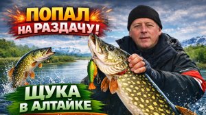ПОПАЛ НА РАЗДАЧУ! Щука в Алтайке весной 2026