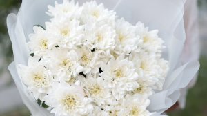 Пензенские девочки выиграли дома.