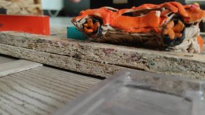 Краш тест пластилинового Nissan Silvia s13