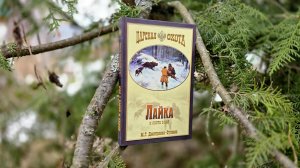 Книга в коллекцию