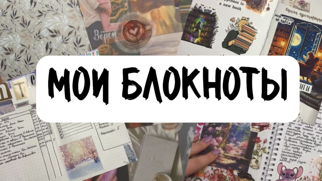 Все мои блокноты.
