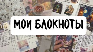 Все мои блокноты.