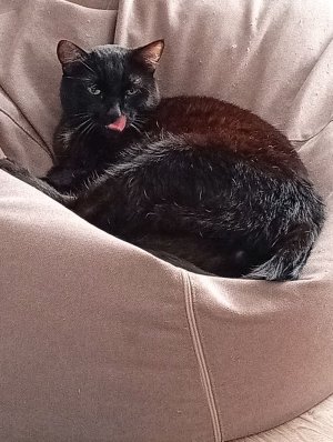 ха ха ха шкаф