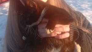 продолдение