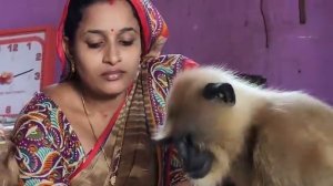 Отношения Маника и Моналисы.