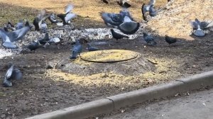 Живу по принципу Жизнь хороша и жить хорошо.