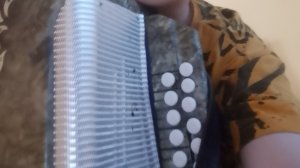 обзор на гармошку