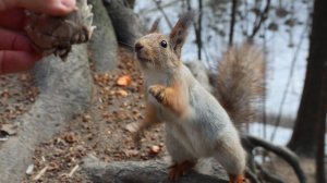 Немного о Модели