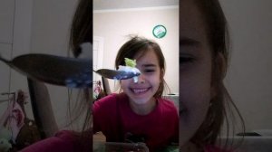 VID_20260327_200150.mp4