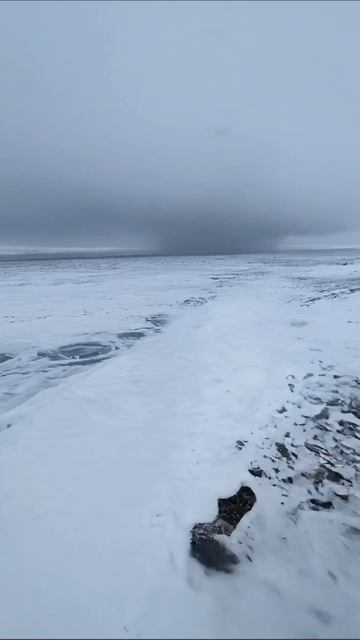 Загадочный зимний пейзаж #зима #природа #пейзаж