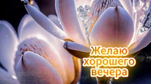 Желаю хорошего вечера! Открытка с добрым вечером с пожеланиями ❤️ музыкальная открытка