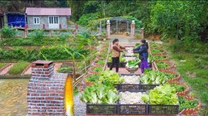 Собираю урожай грибов, баклажанов и других овощей с фермы для продажи. Серия 69. Ли Фук Ви