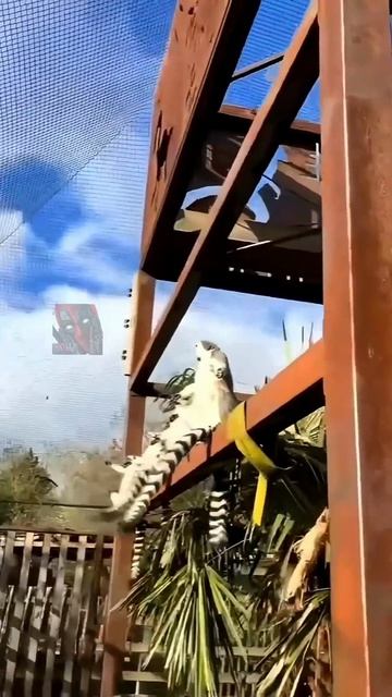 Я такого не ожидал увидеть 🤯🫶🙀