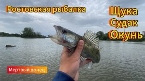 Осенняя Рыбалка 2025 Щука в октябре (река Мёртвый Донец) Лучшие Моменты. Русская Рыбалка на Рутубе