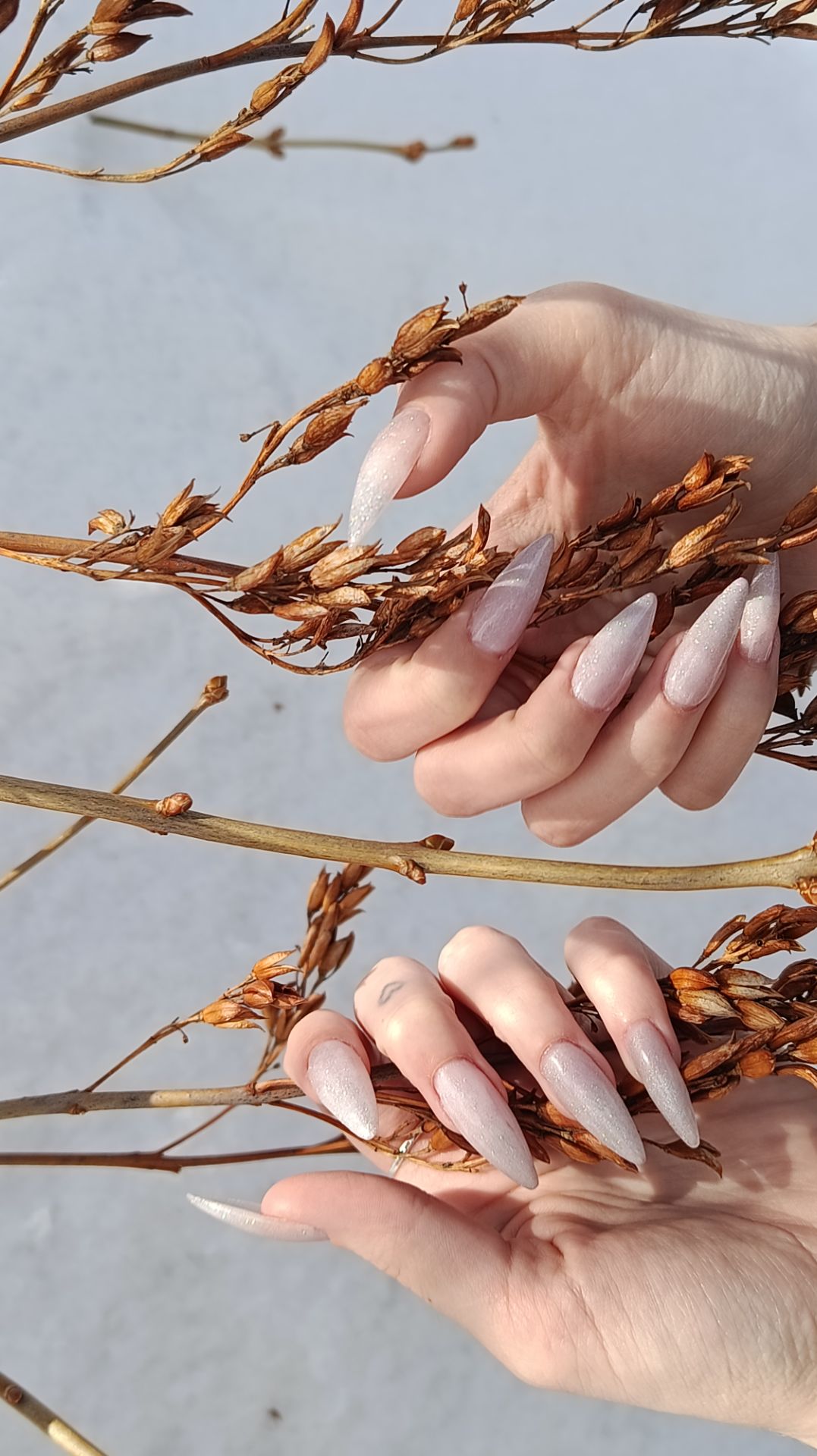 2_5326059454800631078