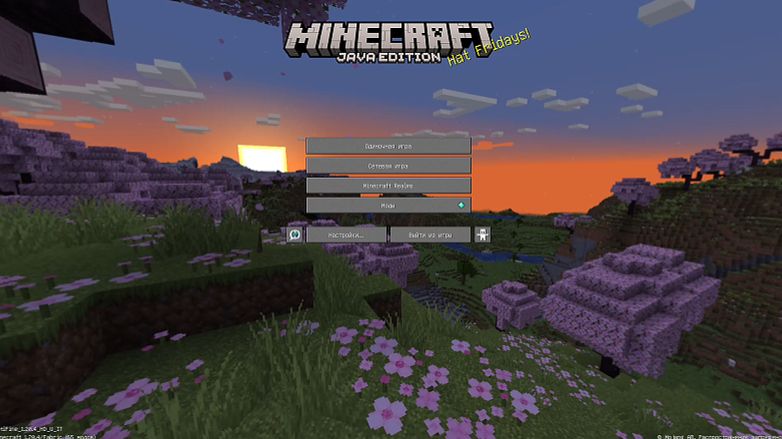 Майн хардкор