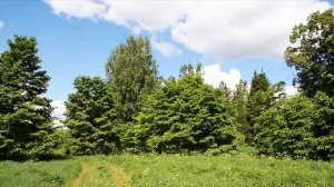 НЕВОЗМОЖНО СЛУШАТЬ БЕЗ СЛЁЗ!!! Песня _Доченька_, поёт Валерий СЁМИН