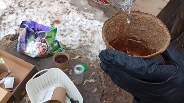 Посадили с кружочком цветы💐