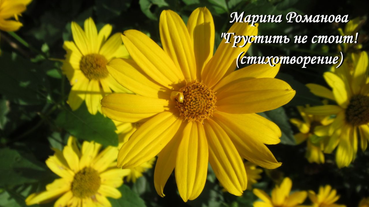 © Марина Романова "ГРУСТИТЬ НЕ СТОИТ!" (стихотворение 6.09.2009)