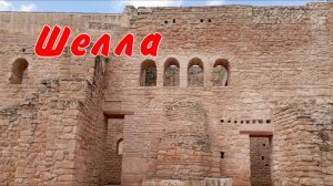 Выпуск 12 Шелла