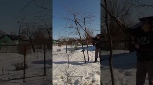 Весна, дача, обрезка деревьев