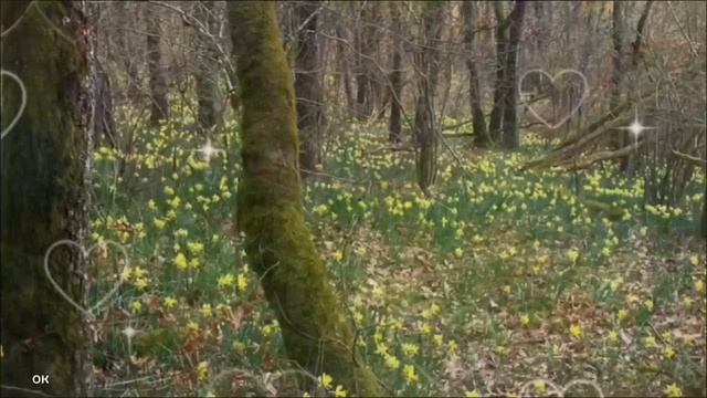 С днём рождения!