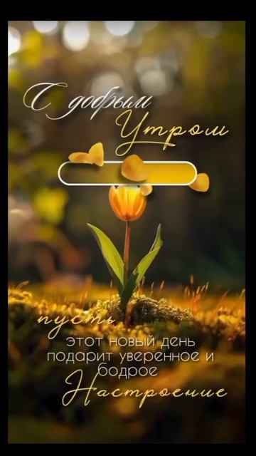 #katyboro #доброеутро