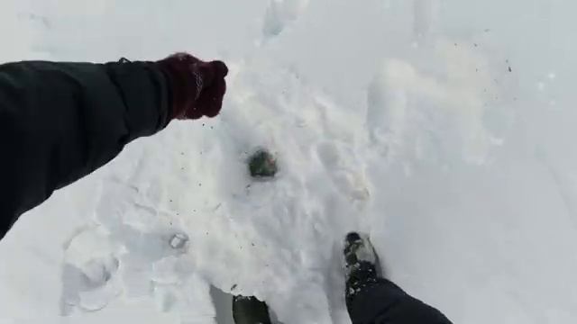 ОСТАВИЛ ЖЕРЛИЦЫ НА НОЧЬ БЕЗ ПРИСМОТРА! ВЕРНУЛСЯ УТРОМ И! Зимняя рыбалка.