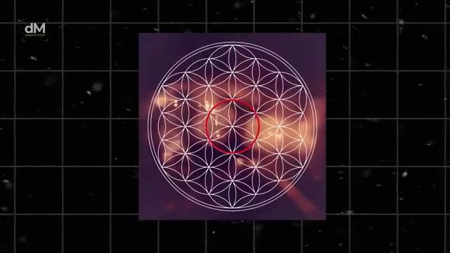 Терренс Ховард шокирует вас своими доказательствами