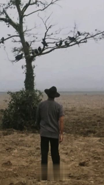 Это тебе не люди с ними можно договориться 🤣 смотреть онлайн