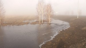 Весенний утренний туман.