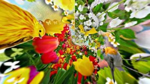 Весна! Очаровательные тюльпаны 4! Киностудия Мудрого Кота Тимофея!