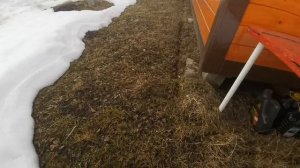 VID_20260328_104043.mp4