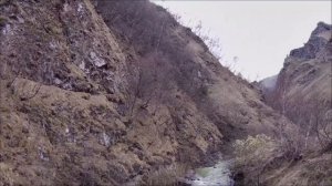 29 марта - Один единственный шанс.