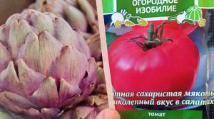 Итоги всхожести томатов. Новые посевы. 🌱