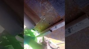 Маинкрафт в реальной жизни.