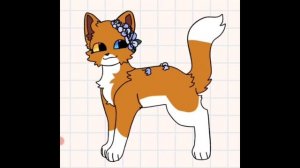 Кусочек видео из подборки тиктоков