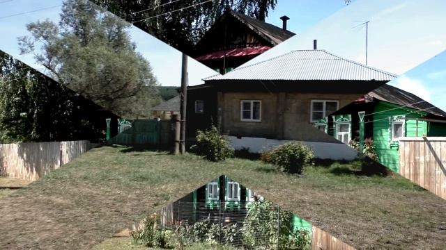 Звуки природы. Птицы. Дрозд чёрный в лесу в деревне