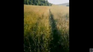 Some lyric about Enduro and Motobikes. "✌Moto like life style" (В честь Дня Рождения ведущего)