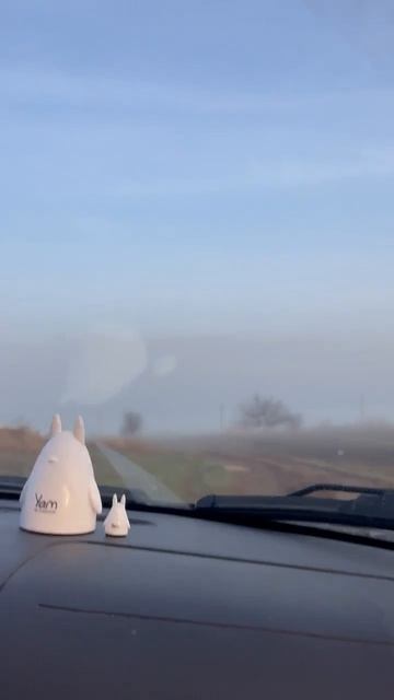 Рассвет, Цимлянское Водохранилище