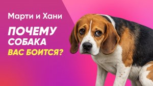 ПОЧЕМУ СОБАКА ВАС БОИТСЯ / НЕ ПОВЕРИТЕ, ЧТО СКРЫТО ЗА ЕЁ СТРАХОМ / КАК ВЕРНУТЬ ДОВЕРИЕ