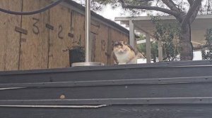 #Геленджик, Март, толстый мыс