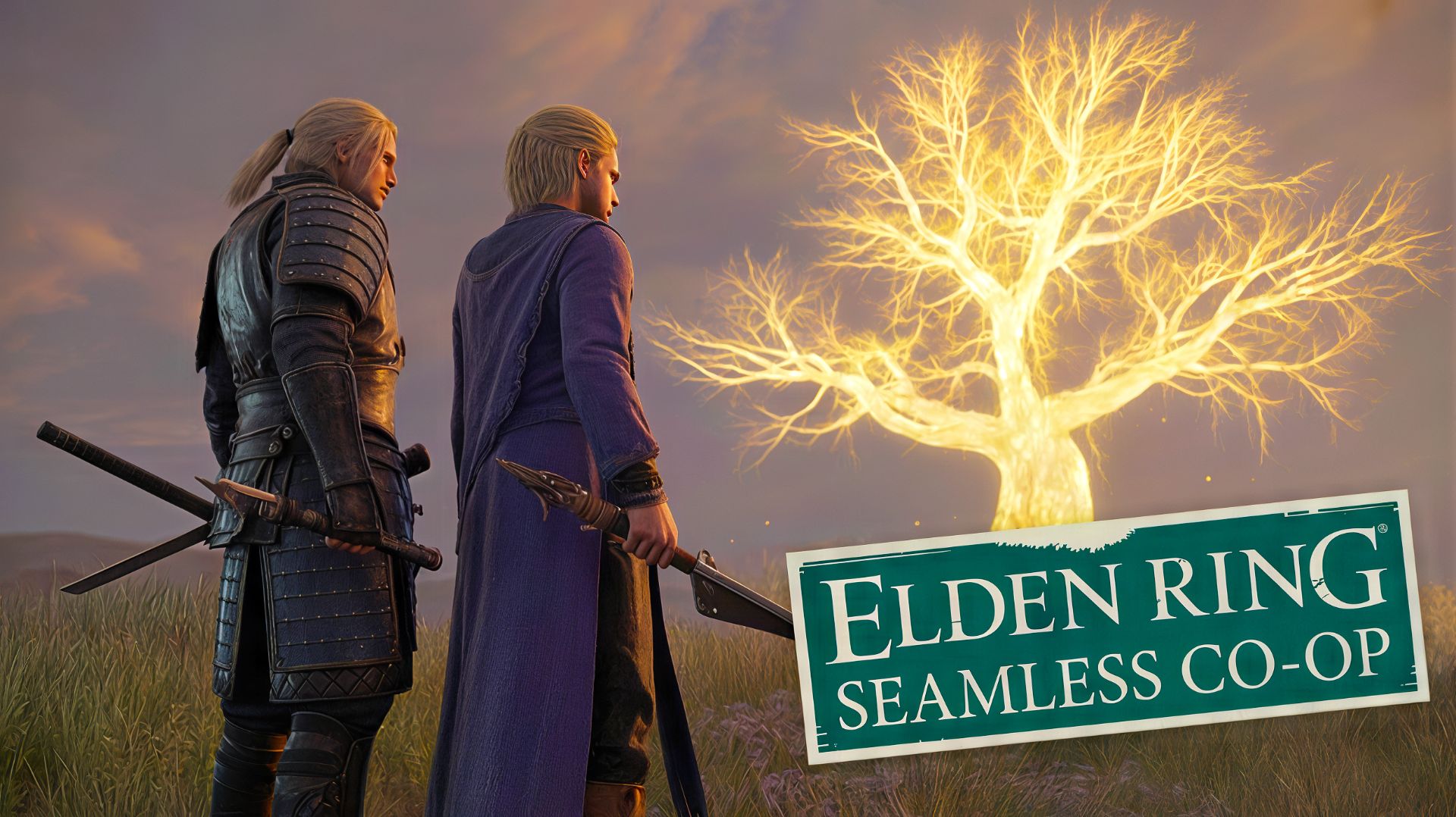 Как играть в Elden Ring+DLC по СЕТИ(LAN)\ИНТЕРНЕТУ(Online) в КООПЕРАТИВ|СЕТЕВОЙ МОД "Seamless Co-op" смотреть онлайн