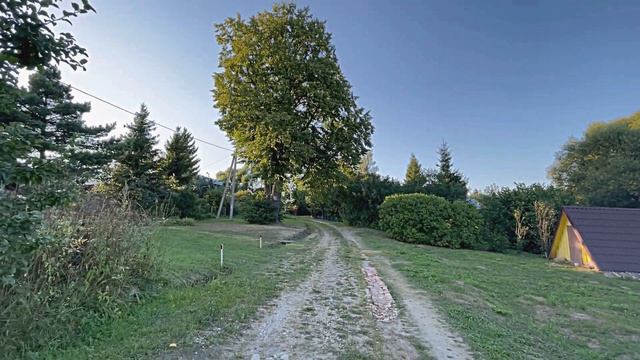 Звуки природы. Птицы.  Горихвостка лысушка поёт в деревне