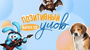 Летучая мышь с необычной внешностью и милый сонный пес. "Позитивный улов"