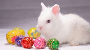 скоро пасха🐇🐣