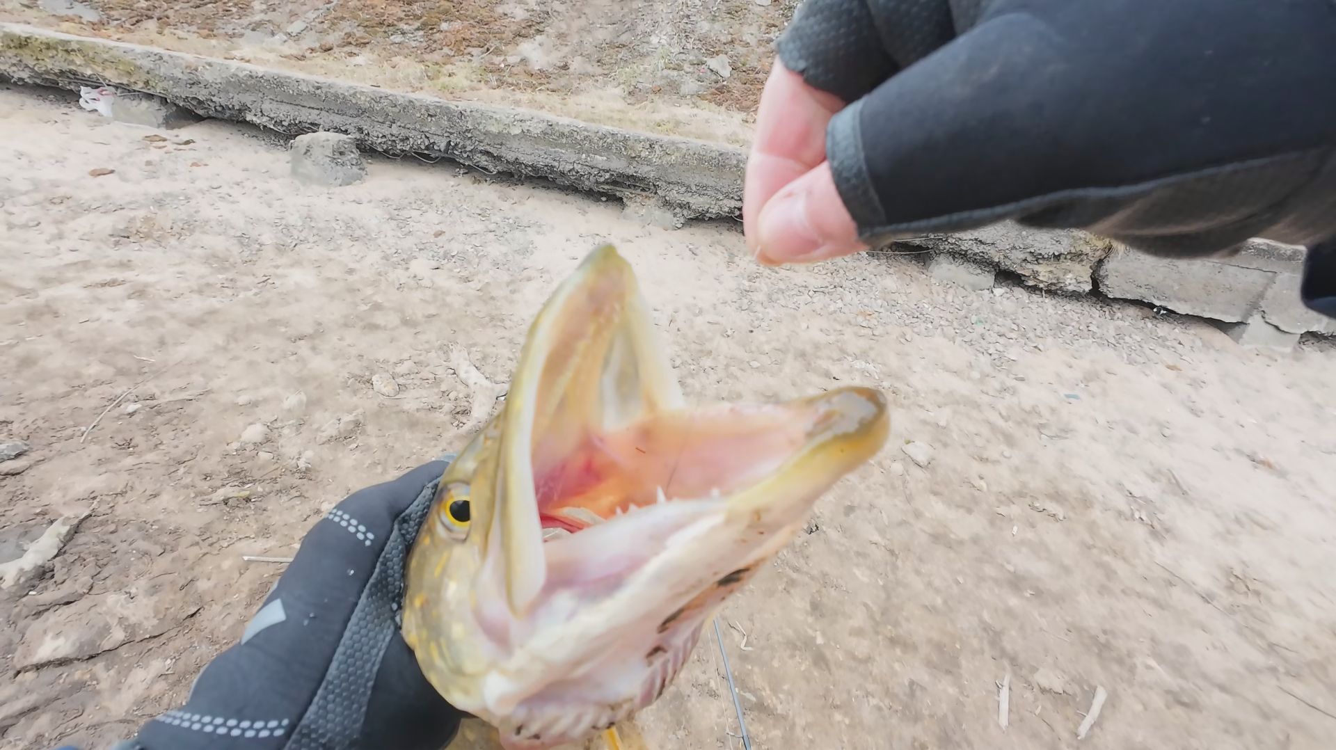 Река одарила поклёвкой крупной щуки Тверь Тьмака